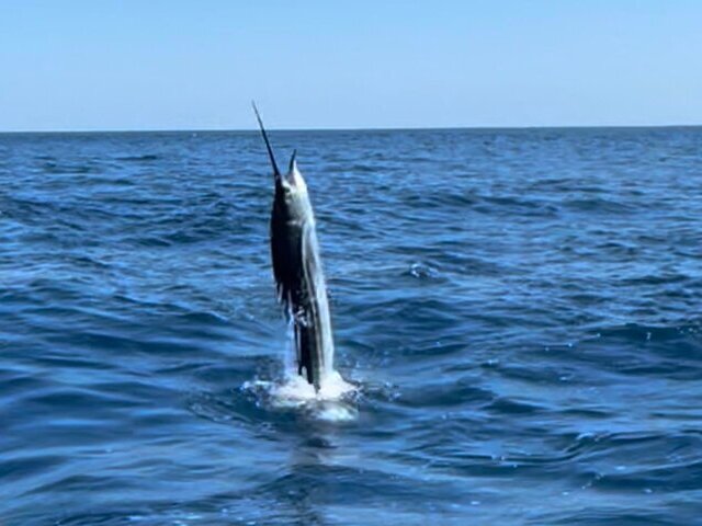 Quepos Fishing