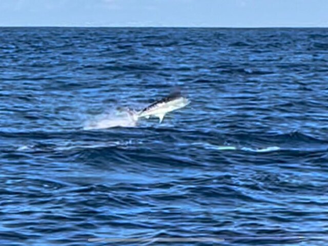 Quepos Fishing