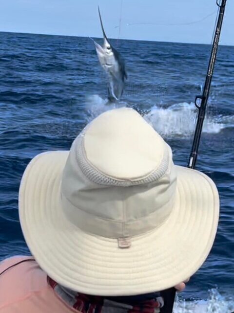 los suenos fishing