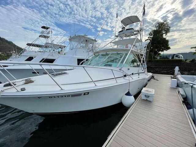 los suenos fishing charters